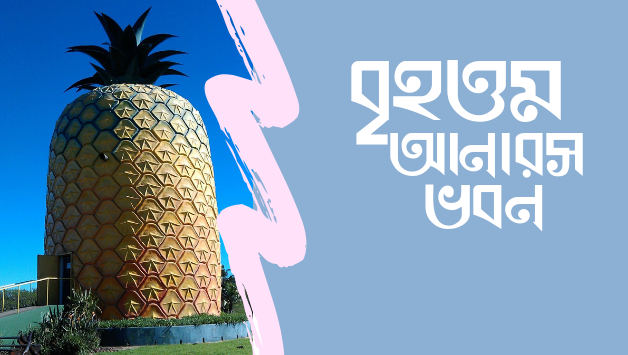 বিশ্বের বৃহত্তম ‘আনারস ভবন’